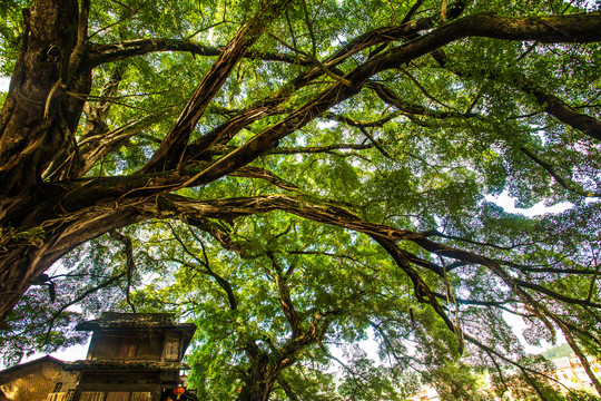 云水谣古村风光