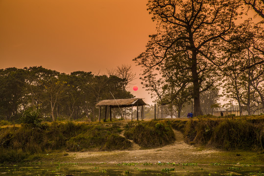 尼泊尔丛林日落
