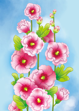 蜀葵花卉背景圖片