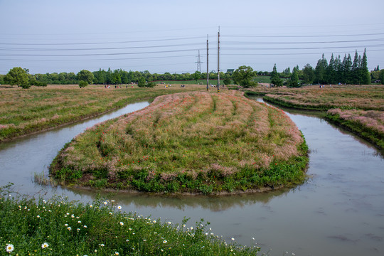 野外