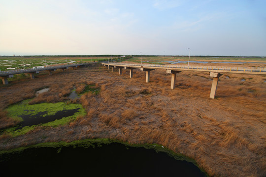 大庆湿地大桥