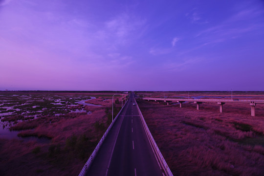 大庆湿地大桥