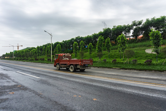 公路绿化