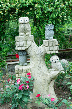 花园里的猫头鹰雕塑
