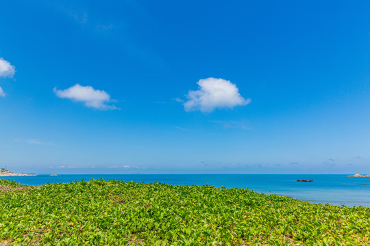 海滩