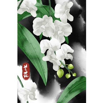 水彩風(fēng)格植物花卉蘭花插畫