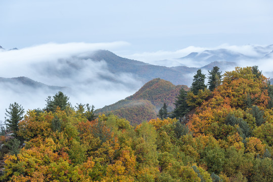 雾锁山峦