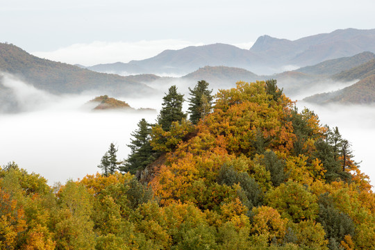 雾锁山峦