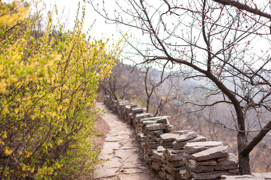 涌泉齐长城风景区