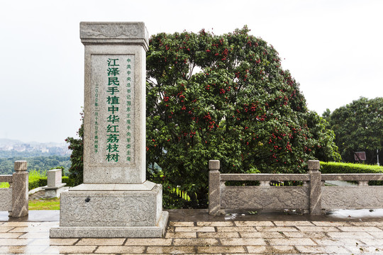 高州荔枝基地红荔阁