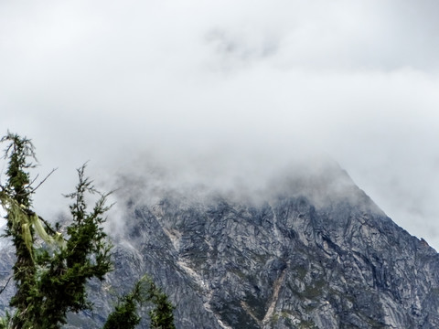 高山云雾