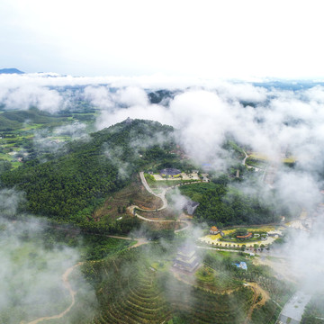 雨后景