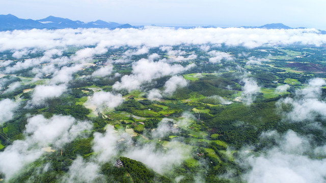 雨后景象