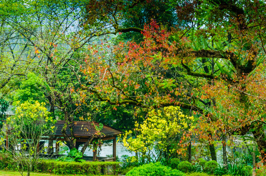 遇龙河两岸风光