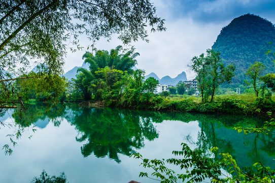 遇龙河风光