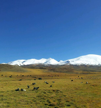 西藏风景