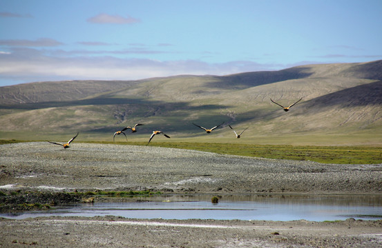 西藏风景风光