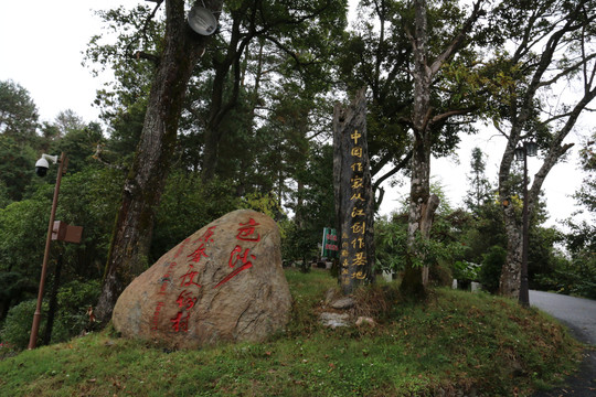 贵州美景