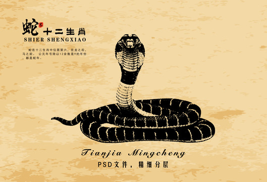 裝飾畫眼鏡蛇圖騰蛇