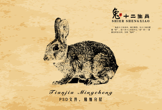 裝飾畫兔子復古兔圖騰