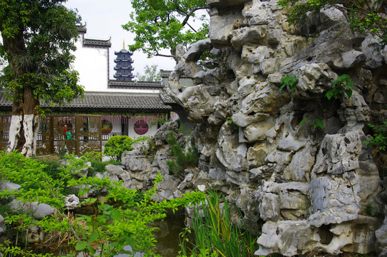 鸠兹古镇梨园堂假山花园