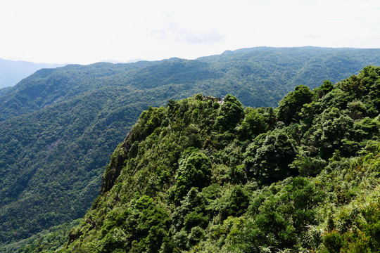 鼓岭