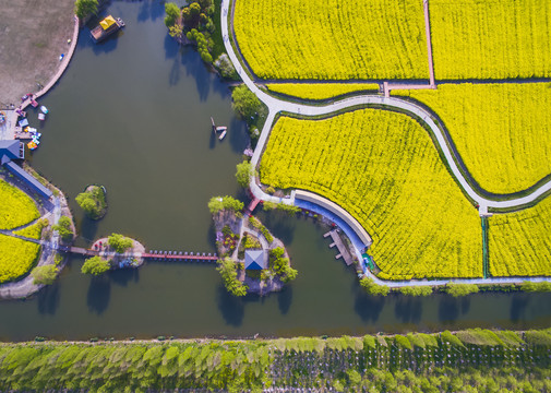 常阴沙花海