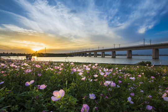 阳澄湖夕阳