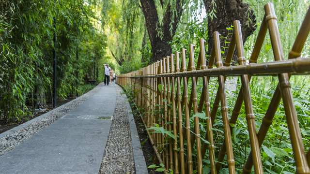 竹林小道