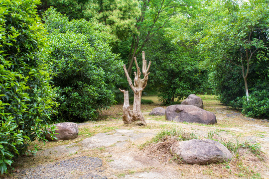 江苏常州春秋淹城遗址公园枯山水