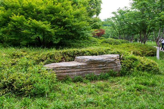 常州春秋淹城遗址公园樱花大道