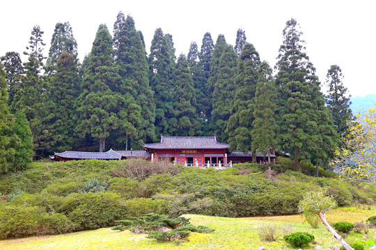 大井红军烈士墓