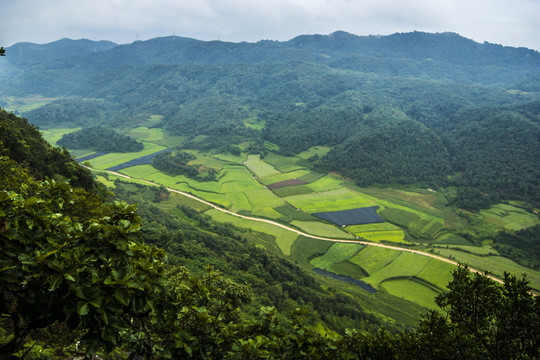 菌子山风光