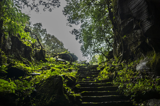 菌子山风光