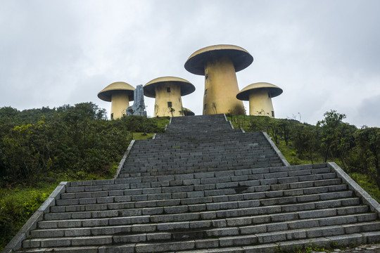 菌子山风光