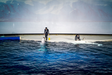 水族馆表演