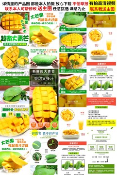 大青芒詳情