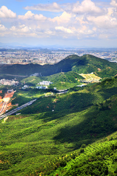 塘朗山远眺