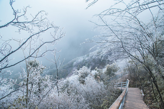 广东冰挂