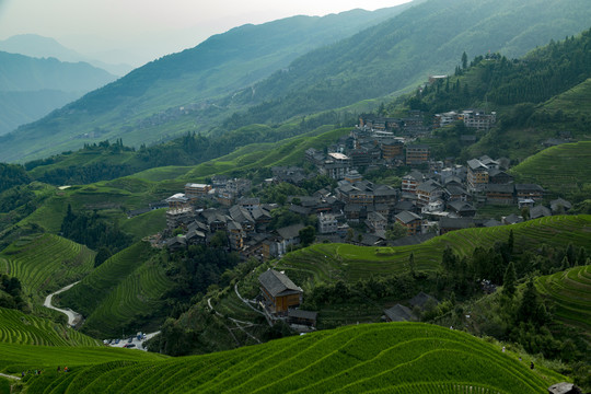 龙脊梯田