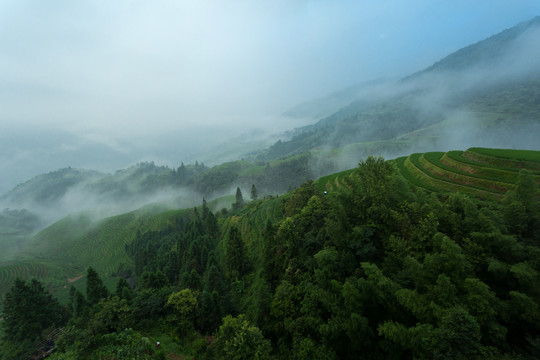 龙脊梯田