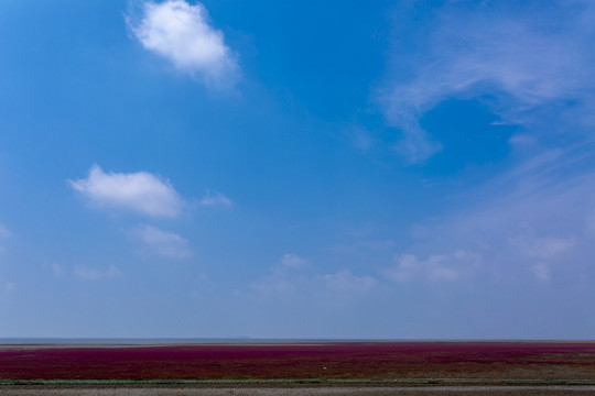 红海滩景区