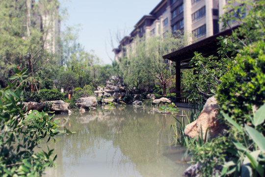 新中式大气高端小区水景