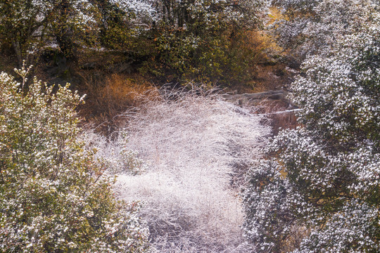 雅鲁藏布江大峡谷索松村50