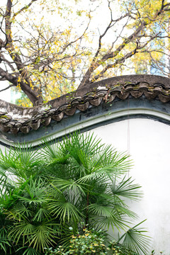 中式园林院墙