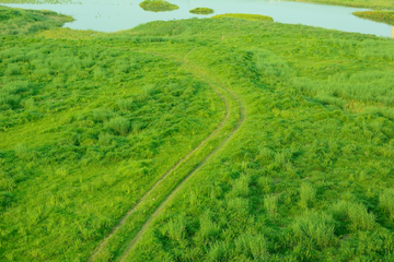 草地上的小路