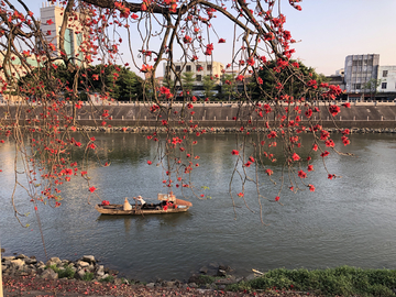 红棉水乡