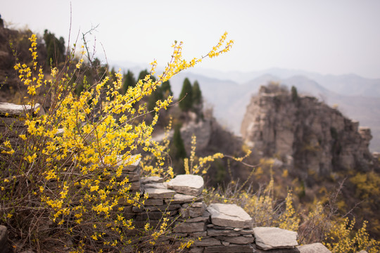 涌泉齐长城风景区