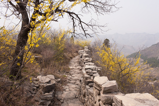 涌泉齐长城风景区