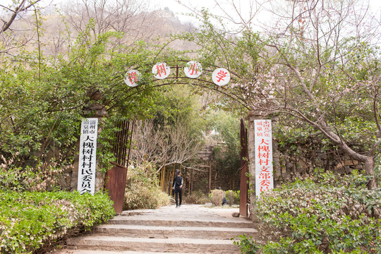 大槐树村村委会